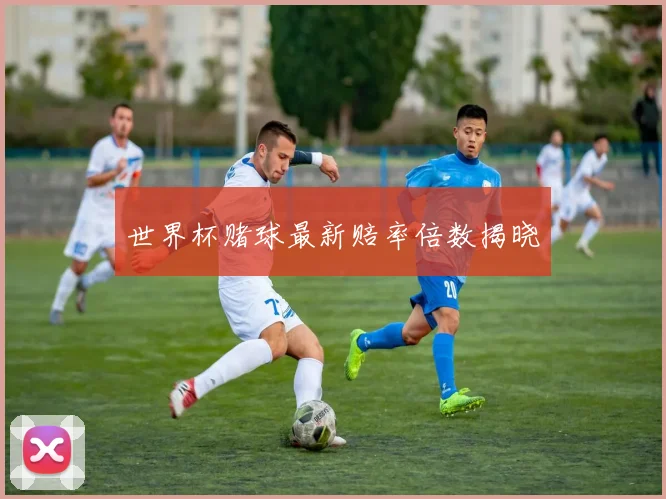 世界杯赌球最新赔率倍数揭晓