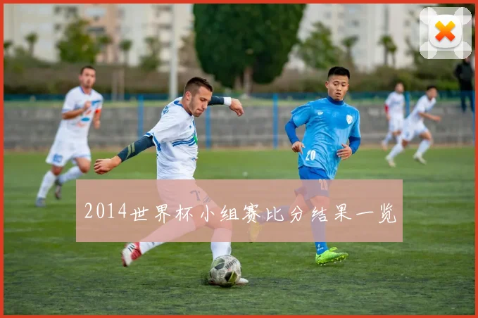 2014世界杯小组赛比分结果一览