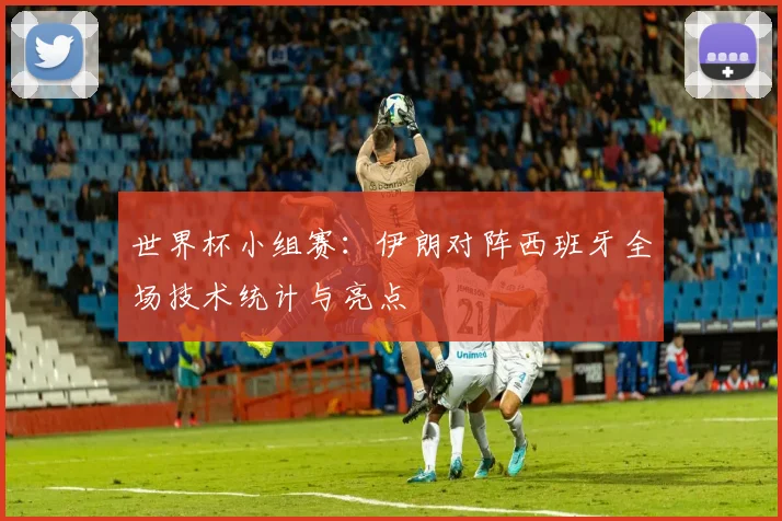 世界杯小组赛:伊朗对阵西班牙全场技术统计与亮点