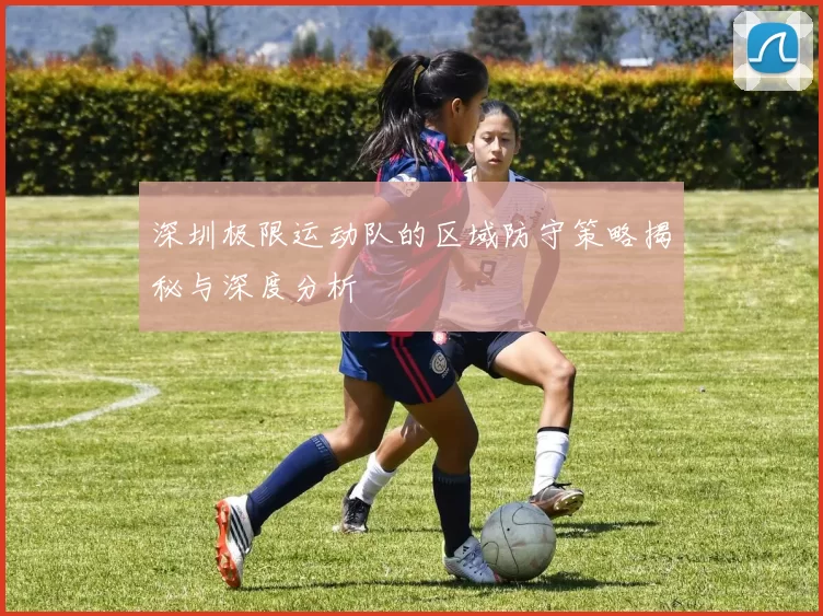 深圳极限运动队的区域防守策略揭秘与深度分析