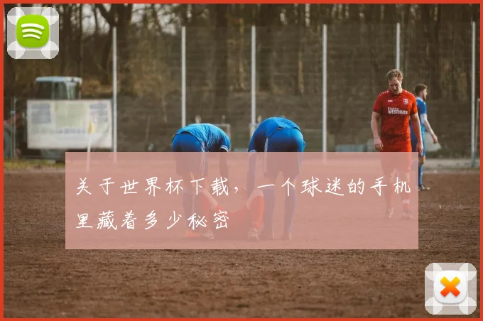 关于世界杯下载,一个球迷的手机里藏着多少秘密